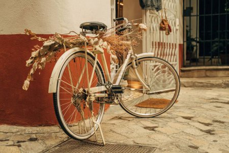 Photo for A metallic white bike with dry plants on it in Sevilla, Spain - Royalty Free Image