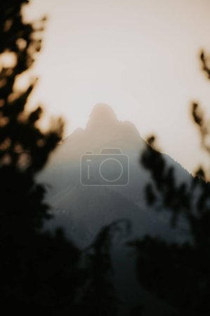 Téléchargez les photos : Une verticale d'un horizon montagneux flou capturé à travers les branches d'arbres au coucher du soleil - en image libre de droit