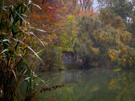 Téléchargez les photos : Une vue naturelle sur une rivière calme et une maison abandonnée dans une forêt automnale - en image libre de droit