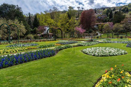 Foto de El jardín de Villa Pallavicino lleno de flores florecientes en la primavera en Stresa, Piamonte, Italia - Imagen libre de derechos