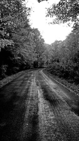 Téléchargez les photos : Une échelle de gris d'une route de campagne - en image libre de droit