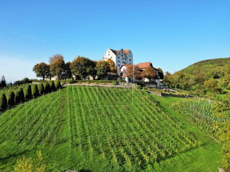 Foto de Una hermosa vista de los viñedos frente al castillo de Wildegg en Suiza - Imagen libre de derechos
