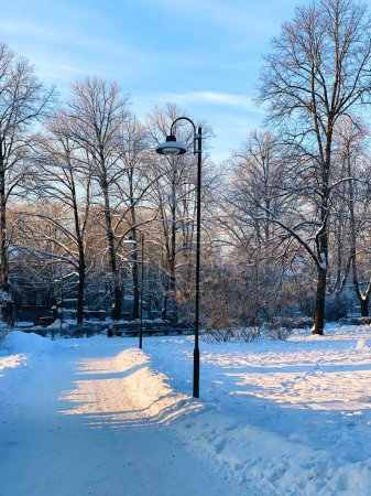 Téléchargez les photos : Plan vertical d'un sentier enneigé en hiver - en image libre de droit