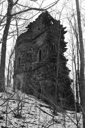 Photo for A vertical greyscale of a ruined building in winter - Royalty Free Image