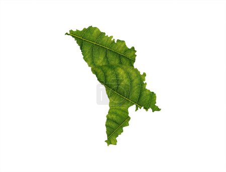 Foto de El mapa de Moldavia hecho de hojas verdes sobre un fondo del suelo- concepto de ecología - Imagen libre de derechos