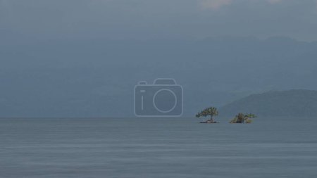 Téléchargez les photos : Une vue panoramique d'arbres au milieu de la mer dans la brume - en image libre de droit