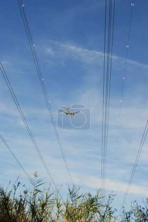 Téléchargez les photos : Un avion survolant le ciel bleu nuageux au-dessus des arbres et des câbles électriques - en image libre de droit