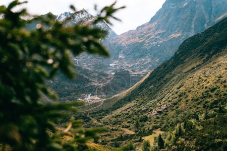 Foto de Un pintoresco plano de una ladera de una montaña y picos rocosos con vistas a un árbol borroso - Imagen libre de derechos