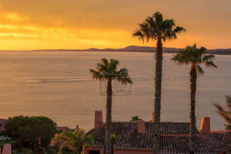 Téléchargez les photos : Trois palmiers sur une terrasse d'une maison, surplombant la baie lors d'un coucher de soleil doré à Punta Ballena, Maldonado, Uruguay - en image libre de droit