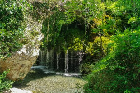 Téléchargez les photos : Une image verticale d'une belle scène d'une cascade avec de belles plantes et de l'eau claire à Fontana Capello, Parc national du Cilento, Campanie, Italie - en image libre de droit