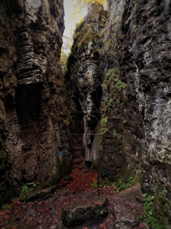 Téléchargez les photos : Une belle vue verticale d'énormes rochers avec des pierres humides sur un sol - en image libre de droit