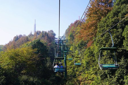 Téléchargez les photos : Les téléphériques entourés d'arbres dans la forêt, Chine, Changsha, Yuelu Mountain - en image libre de droit