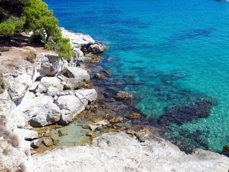 A beautiful scene of the turquoise Mediterranean Sea with a white rocky beach in Aegina, Greece