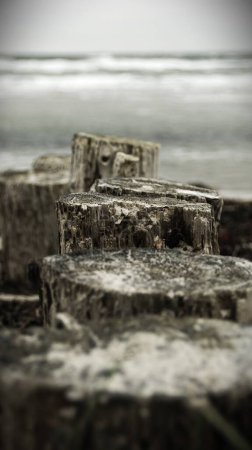 Téléchargez les photos : Un plan vertical de vieilles bûches de bois au bord de la mer - en image libre de droit