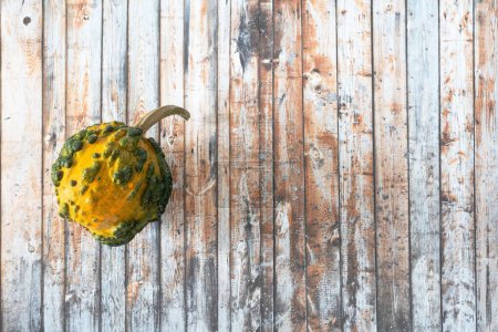 Photo for A pumpkin in wooden background - Royalty Free Image