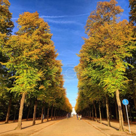 Foto de Un hermoso camino lleno de gente en un parque con árboles altos - Imagen libre de derechos