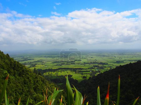 Téléchargez les photos : Un beau paysage des collines verdoyantes - en image libre de droit