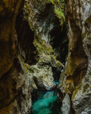Téléchargez les photos : Une vue panoramique d'une petite rivière avec de l'eau turquoise dans le parc des Gorges de Tolmin à Zatolmin, Slovénie - en image libre de droit