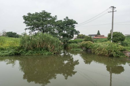 Téléchargez les photos : Un étang calme avec reflet d'arbres et ciel nuageux - en image libre de droit