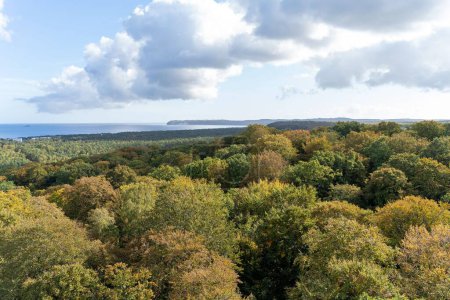 Téléchargez les photos : Vue aérienne d'une forêt automnale colorée sous un ciel nuageux près de la mer Baltique. - en image libre de droit