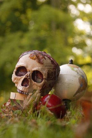 Photo for A vertical shot of a human skull leaned on a Globe on a grass field - Gothic background - Royalty Free Image