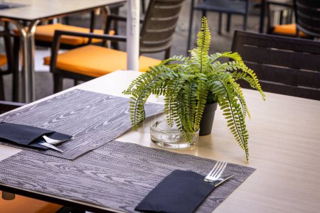 Foto de Una mesa con manteles, cubiertos, un cenicero y una planta de helechos en una olla en un café de la calle - Imagen libre de derechos