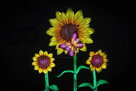Photo for A glowing butterfly and sunflowers at the breathtaking GloWild nighttime event in The Kansas City Zoo - Royalty Free Image