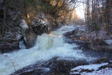 Téléchargez les photos : Une cascade entourée d'arbres sans feuilles en hiver - en image libre de droit