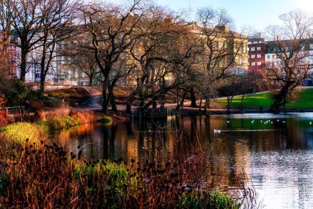 Téléchargez les photos : Un beau paysage naturel avec un petit lac entouré d'arbres d'automne sans feuilles dans une ville - en image libre de droit