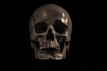 A closeup shot of a grey skull on the black background