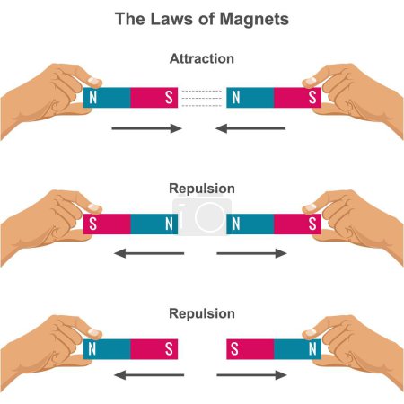 An illustration of magnetic attraction and repulsion force law