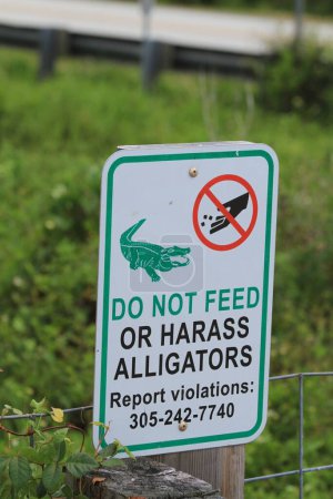 Téléchargez les photos : Un plan vertical d'un panneau avec des inscriptions dessus : Ne pas nourrir ou harceler les alligators - en image libre de droit