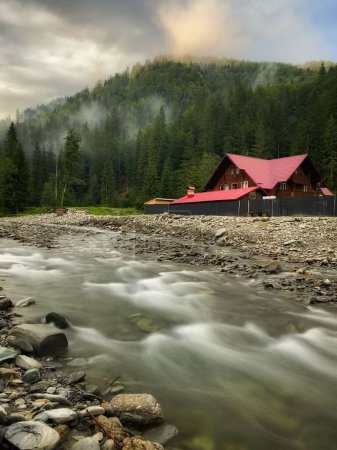 Téléchargez les photos : Vue verticale d'une rivière à longue exposition avec forêt en arrière-plan par une journée brumeuse - en image libre de droit