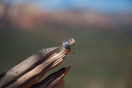 Téléchargez les photos : Un anneau sur un morceau de bois sur un fond flou - en image libre de droit