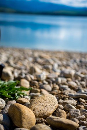 Photo for A vertical closeup shot of a small stone found on the shore of a beach during the day - Royalty Free Image