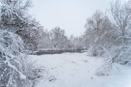 Téléchargez les photos : Un beau paysage enneigé à Torrejon de Ardoz avec le passage de la crique Filomena en Espagne - en image libre de droit