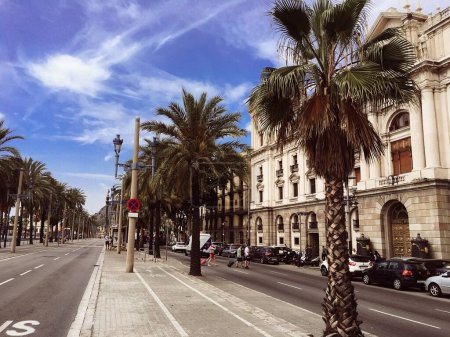 Foto de Una vista del Palacio de la Capitanía General de Barcelona y palmeras que dividen los carriles - Imagen libre de derechos