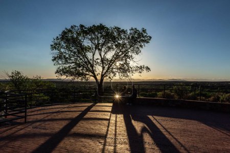 Téléchargez les photos : Une vue panoramique de la lumière du soleil culminant à travers un seul arbre à Santa Fe, Nouveau-Mexique pendant le coucher du soleil - en image libre de droit