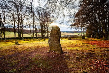 Téléchargez les photos : Une pierre debout dans une forêt colorée sous la lumière du soleil sur Clava Cairns, Écosse - en image libre de droit