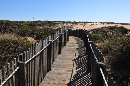 Téléchargez les photos : Une promenade dans les dunes de Cresmina à Cascais, Portugal - en image libre de droit