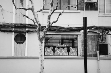 Téléchargez les photos : Une fenêtre décorée de motifs de tigres sur Taian Road, Shanghai - en image libre de droit