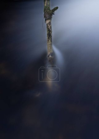 Téléchargez les photos : Gros plan d'un arbre sous un cours d'eau - en image libre de droit