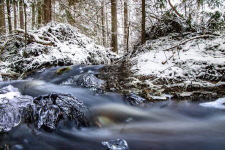Foto de Un arroyo que fluye a través de un hermoso bosque blanco de invierno en Suecia, larga exposición - Imagen libre de derechos