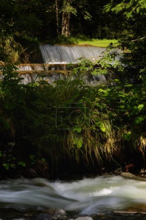 Foto de Un disparo vertical de una corriente de agua de larga exposición que fluye sobre rocas con árboles en el fondo - Imagen libre de derechos