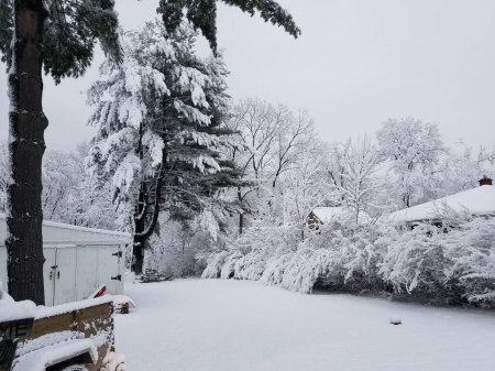 Téléchargez les photos : Une image d'arbres et de bâtiments couverts de neige en hiver - en image libre de droit