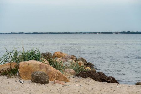 Photo for A beautiful view of stones on a sandy beach under the cloudy sky - Royalty Free Image