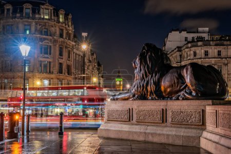 Téléchargez les photos : L'un des lions de Trafalgar Square, Londres - en image libre de droit