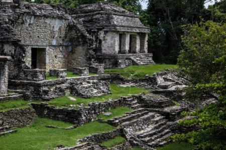 Téléchargez les photos : La zone archéologique de Palenque dans un magnifique paysage verdoyant - en image libre de droit