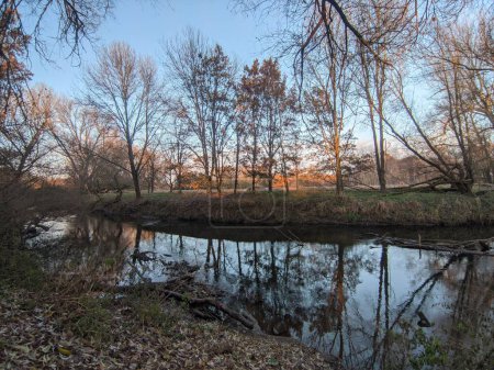 Téléchargez les photos : Une vue panoramique des arbres reflétés dans la rivière dans la forêt - en image libre de droit