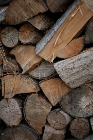 Photo for A closeup of a heap of cut logs - Royalty Free Image